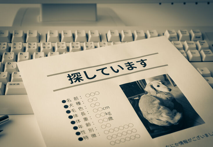探偵が明かすペット捜索の裏話！犬や猫の迷子を家族のもとへ安全に戻す方法
