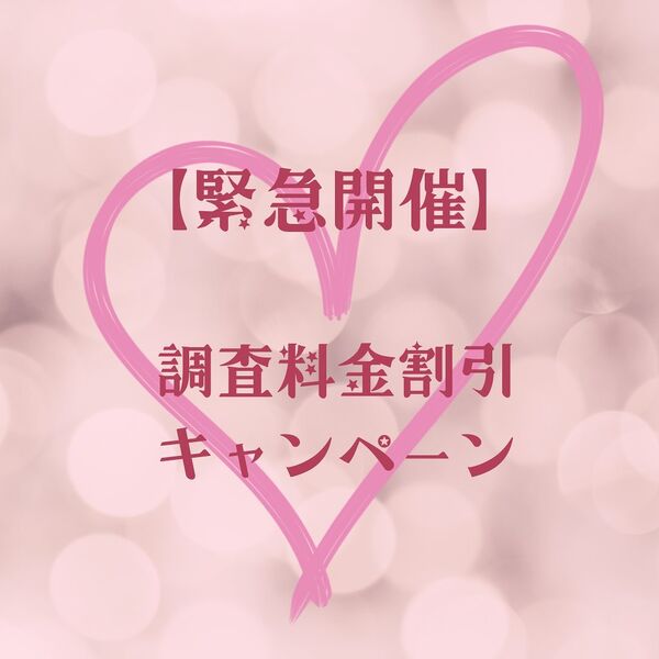 【✨お得な割引キャンペーン✨】